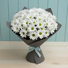 Букет цветов из:  Хризантемы в Белое