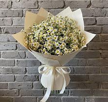 Букет цветов из:  Ромашки #REPLACE_PRED# Белое