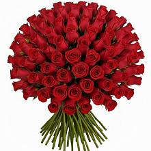 Букет Красные розы Чери Лав в Белое