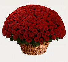 Премиум букет из: Розы #REPLACE_PRED# Белое