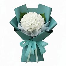Букет цветов из:  Гортензия в Белое